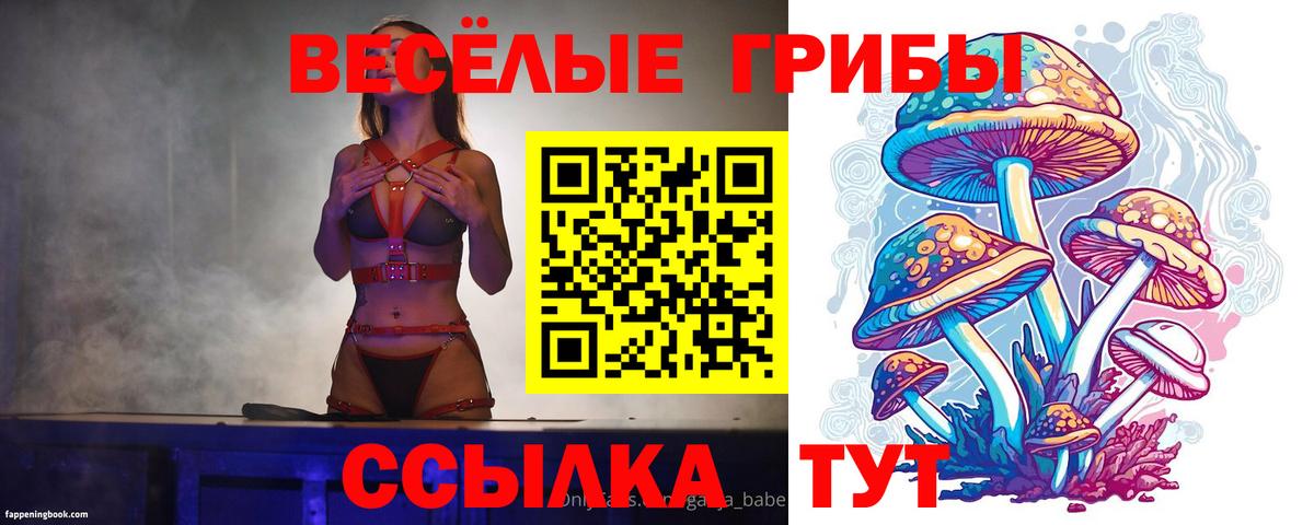 Галлюциногенные грибы MAGIC MUSHROOMS Вятские Поляны