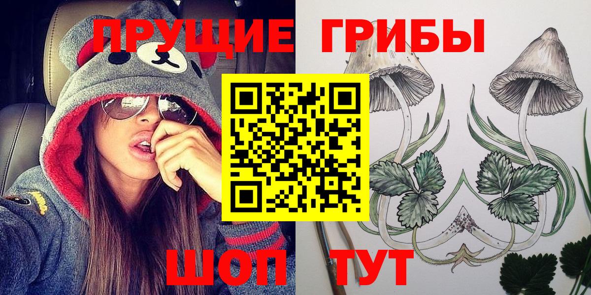 Псилоцибиновые грибы мицелий  цены наркотик  Вятские Поляны  Псилоцибиновые грибы GOLDEN TEACHER  Вход с VPN 